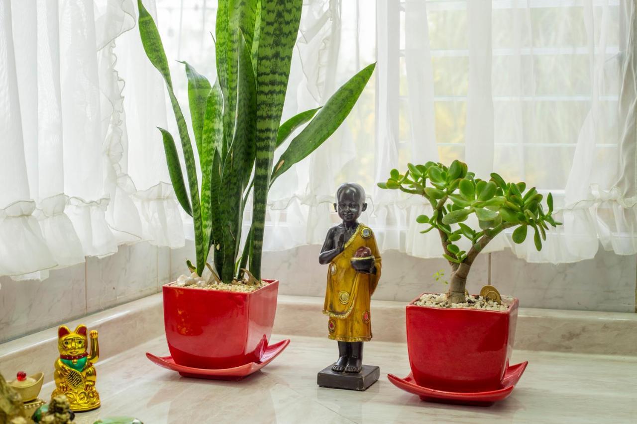 Casa Kinich Apartment Guadalajara Ngoại thất bức ảnh